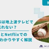 WBC 2026は地上波テレビで見れない？その理由とNetflixでの視聴方法をわかりやすく解説